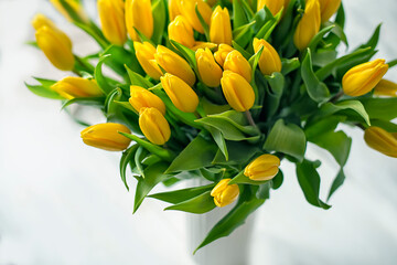 Bouquet of yellow tulips on a light background

