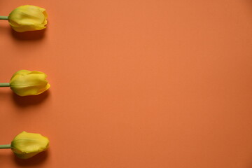 Yellow tulips on an orange background placed at the left edge of the table. Visible shadows of flowers.