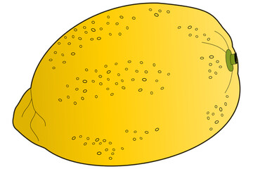 Symbolic representation of a whole yellow lemon with peel
