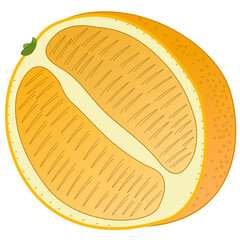 Symbolic representation of half an orange with peel, in orange color