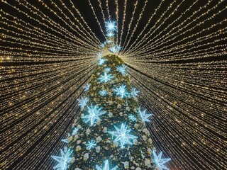 hundreds of glowing garlands on an elegant outdoor Christmas tree 