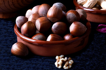 Set of hazelnuts inside their shells