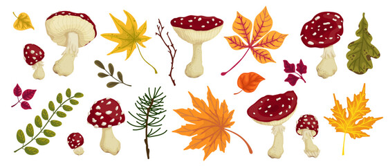Collection of autumn leaves, forest plants, branches, mushrooms of red fly agaric. Cartoon vector graphics.