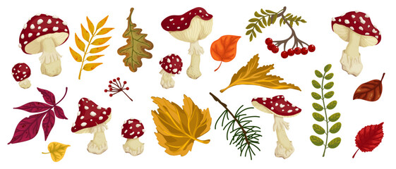 Collection of autumn leaves, forest plants, branches, mushrooms of red fly agaric. Cartoon vector graphics.