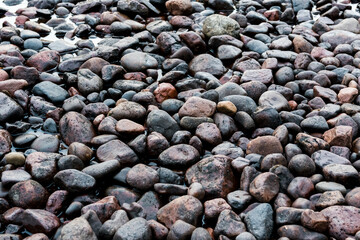 Rocks on a beach