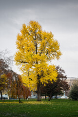 panorama di budapest