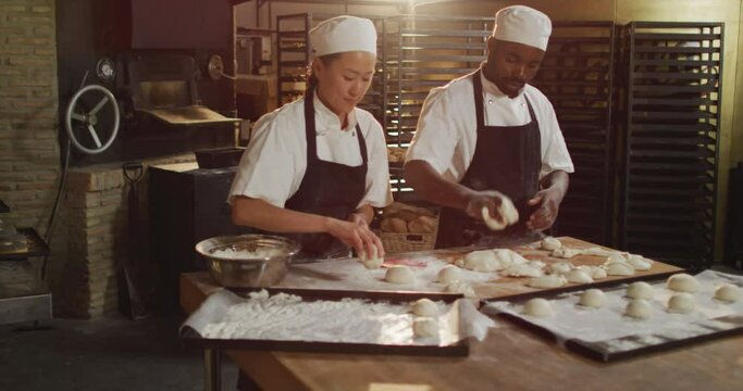 Animation of diverse female and male bakers preparing rolls at bakery