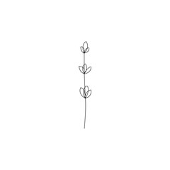 Abstract plant drawn in one line. Sketch. Botanical art. Continuous line drawing floral element. Vector illustration.