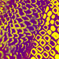 Brown Animal Print Pattern. Green Snake. Red