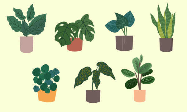 Vectores de plantas con macetas. Plantas de hogar. Follaje. Hojas verdes. Concepto de huerta. Jardiner&iacute;a. 