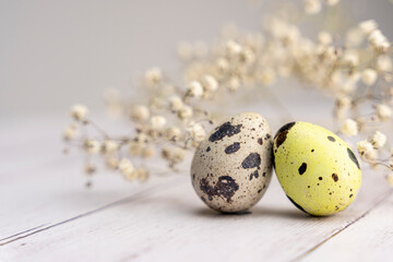 easter eggs and a branch of gypsophila on a light background