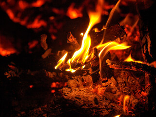 Detail of a burning branch from a bonfire.