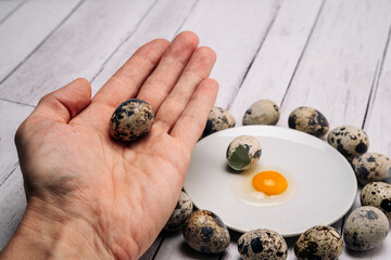 A fresh quail egg in a person's hand, yolk and white on a white plate
