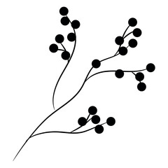 Branch with berries on white background