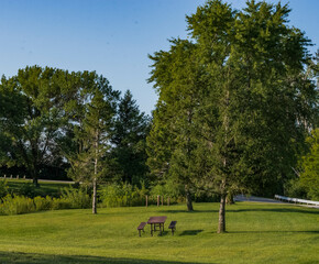 Obraz premium Picnic table under a tree
