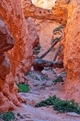 Rrugged redstone arches, Bryce Canyon, Utah
