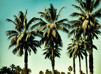 Healthy isolated fresh palm trees background created with generative ai - obrazy, fototapety, plakaty