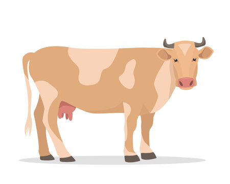Cow icon isolated on white backfround. Dairy cattle. Farm animal. Vector flat or cartoon illustration.