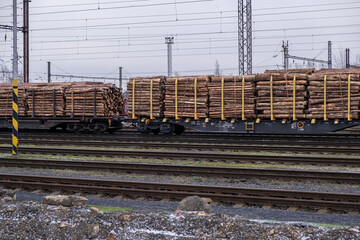 Freight train loaded with pine wood log trunks. Timber trading. Freight. Transportation of timber...