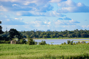 city ​​appearing among the forest