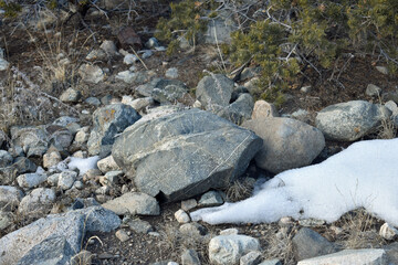 Rocks on a Walking Path