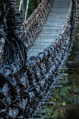 日本　徳島県三好市西祖谷山村にあるサルナシの蔦を使って作られた祖谷のかずら橋