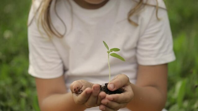 Caucasian girl is keeping a green seedling and soil in her hands