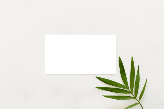 White invitation, discount or business card mockup with leaf. Minimalist style. Template. Top view, copy space