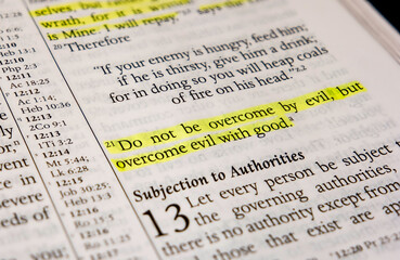 Romans chapter 12 verse 21