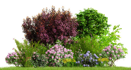 Fototapeta Beautiful garden plants, flower and trees isolated on transparent background. 3D render. obraz
