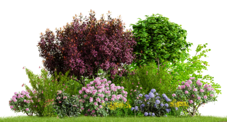 Beautiful garden plants, flower and trees isolated on transparent background. 3D render.
