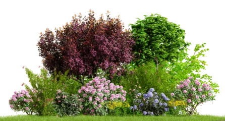 Keuken foto achterwand Tuin Beautiful garden plants, flower and trees isolated on transparent background. 3D render.