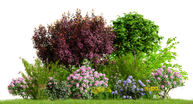 Beautiful garden plants, flower and trees isolated on transparent background. 3D render.