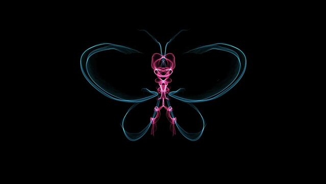 Appearance animation. Butterfly symbol with blue and pink wings. Neon glowing line. Animated insect figure that appears as purple gradient on black background of many lines. Timelapse drawing