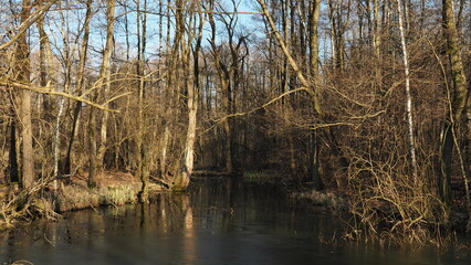 Jezioro Dzierżno Małe