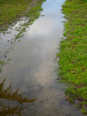 A puddle on the grass. Reflection of the sky in a small puddle.