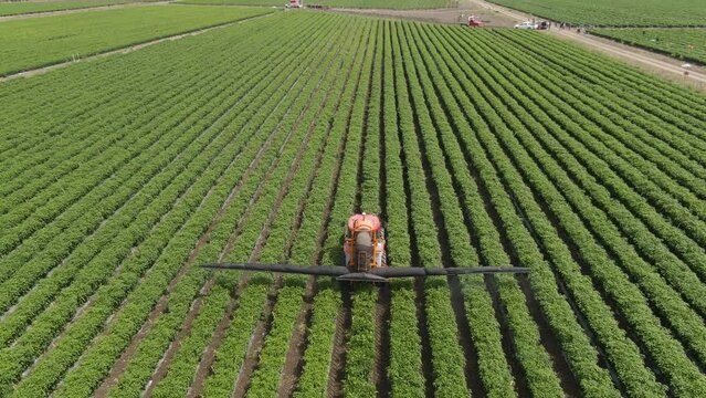 Tractor regando agua en cosecha