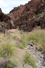 Barranco del Toro - Stierschlucht