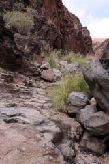 Barranco del Toro - Stierschlucht