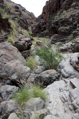Barranco del Toro - Stierschlucht