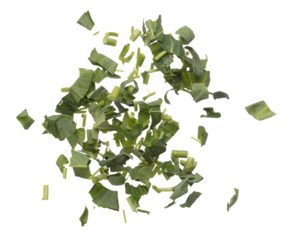 Kale fly fall mid air, green fresh vegetable chinese kale cut chop slice. Organic fresh vegetable with eaten leaf of chinese kale, heap close up texture. White background isolated freeze motion