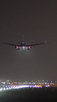 The plane lands at the airport at night, vertical