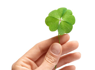 Woman holding beautiful green four leaf clover on white background, closeup