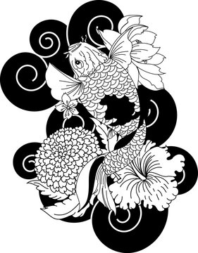 Koi fish tattoo design.Japanese koi carp with cherry blossom on black cloud.Traditional Japanese culture for printing and coloring book on background.