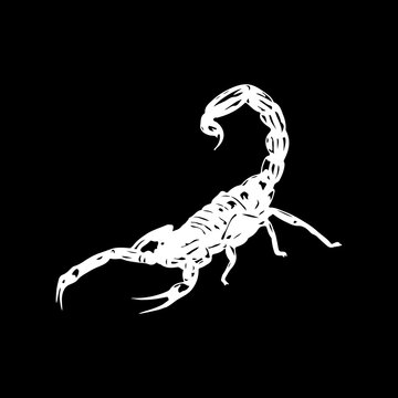 scorpion silhouette vector illustration concept