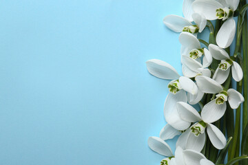 Beautiful snowdrops on light blue background, flat lay. Space for text