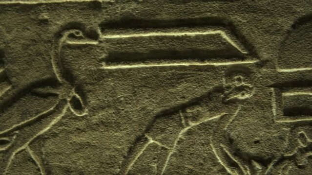 Exploring Kom Ombo Temple and Hieroglyphs in Egypt at Night