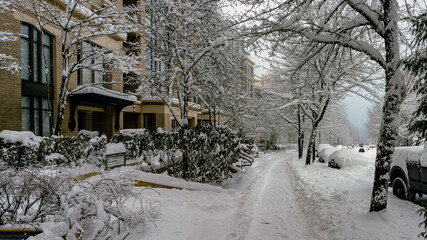 Winter snow scene in a BC residential housing development.