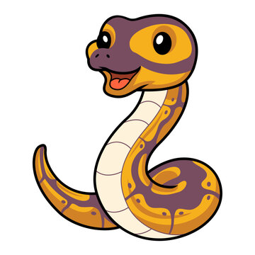 Cute banana ball python snake cartoon