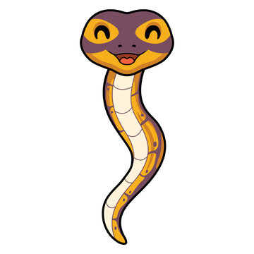 Cute banana ball python snake cartoon